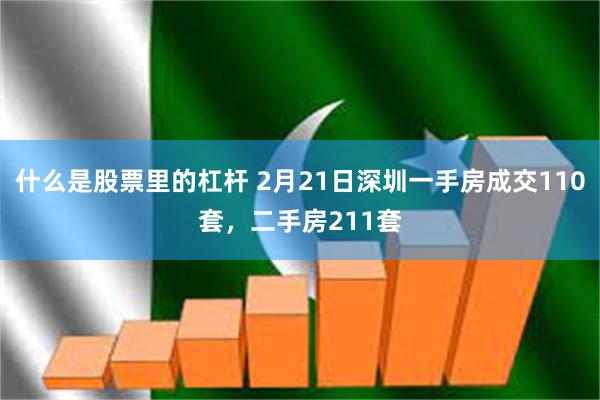 什么是股票里的杠杆 2月21日深圳一手房成交110套，二手房211套