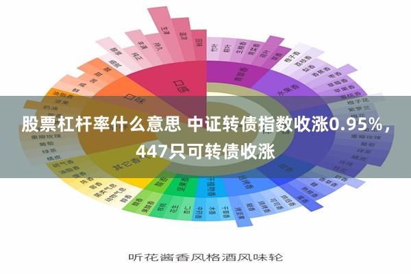 股票杠杆率什么意思 中证转债指数收涨0.95%，447只可转债收涨