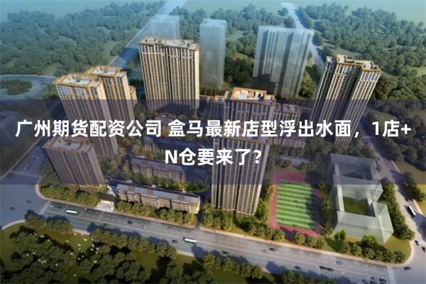广州期货配资公司 盒马最新店型浮出水面，1店+N仓要来了？