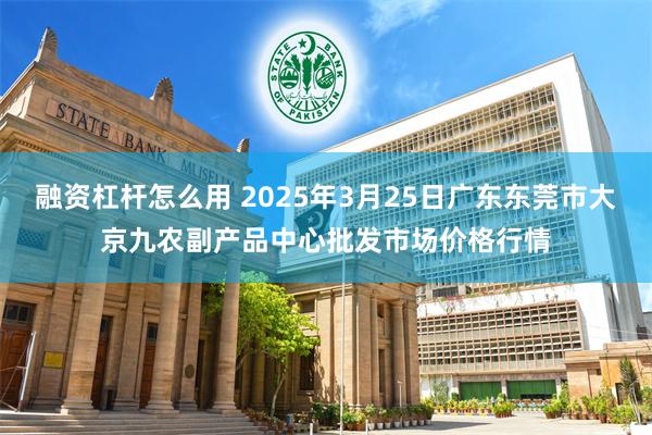 融资杠杆怎么用 2025年3月25日广东东莞市大京九农副产品中心批发市场价格行情