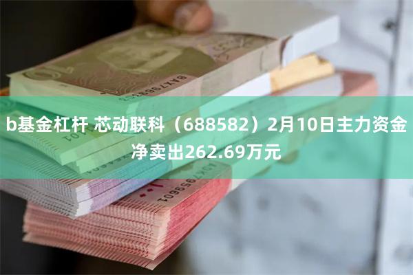 b基金杠杆 芯动联科（688582）2月10日主力资金净卖出262.69万元