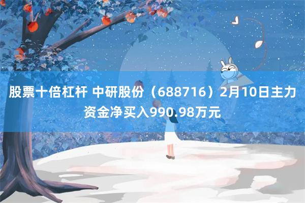 股票十倍杠杆 中研股份（688716）2月10日主力资金净买入990.98万元