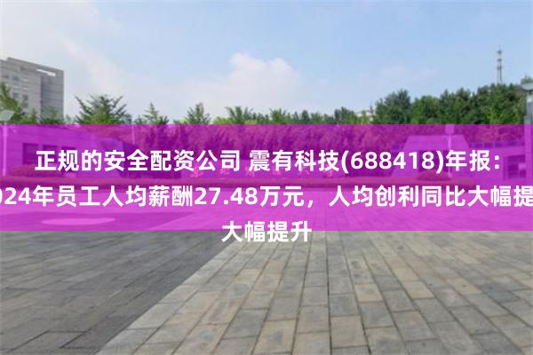正规的安全配资公司 震有科技(688418)年报：2024年员工人均薪酬27.48万元，人均创利同比大幅提升