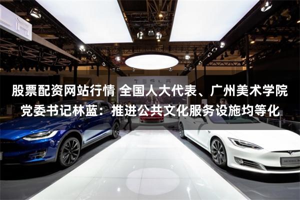 股票配资网站行情 全国人大代表、广州美术学院党委书记林蓝：推进公共文化服务设施均等化