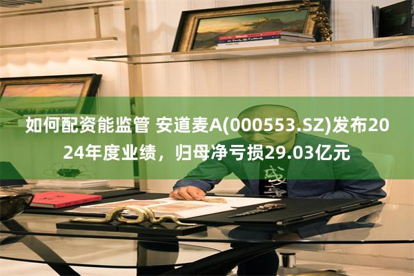 如何配资能监管 安道麦A(000553.SZ)发布2024年度业绩，归母净亏损29.03亿元