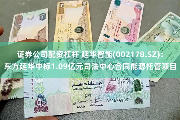 证券公司配资杠杆 延华智能(002178.SZ)：东方延华中标1.09亿元司法中心合同能源托管项目
