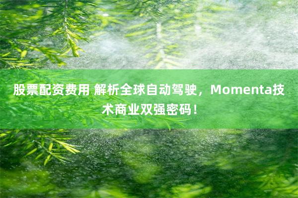 股票配资费用 解析全球自动驾驶，Momenta技术商业双强密码！