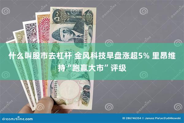 什么叫股市去杠杆 金风科技早盘涨超5% 里昂维持“跑赢大市”评级