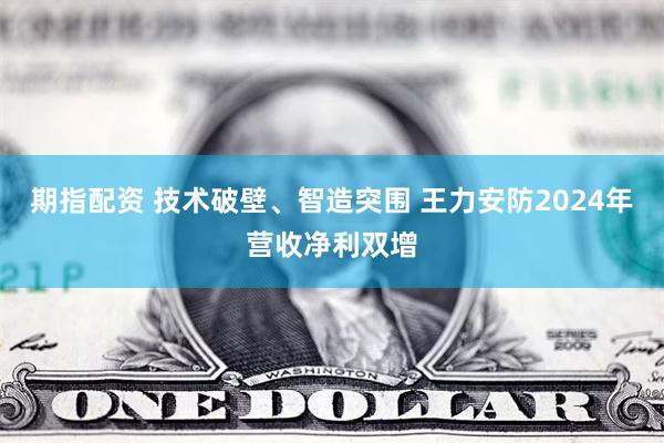期指配资 技术破壁、智造突围 王力安防2024年营收净利双增