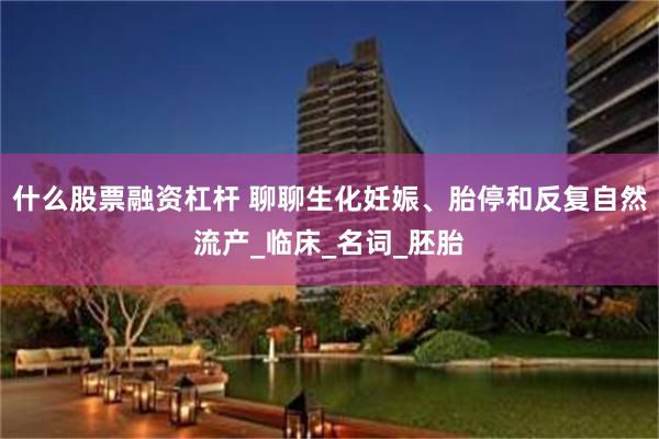 什么股票融资杠杆 聊聊生化妊娠、胎停和反复自然流产_临床_名词_胚胎