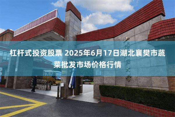 杠杆式投资股票 2025年6月17日湖北襄樊市蔬菜批发市场价格行情