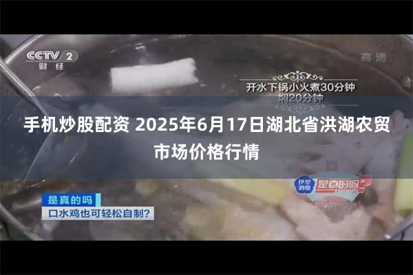 手机炒股配资 2025年6月17日湖北省洪湖农贸市场价格行情