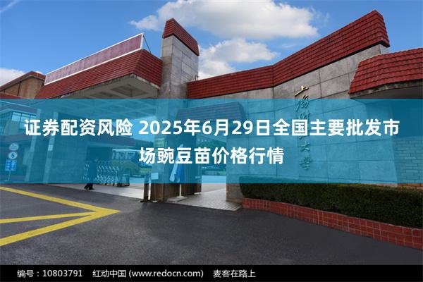 证券配资风险 2025年6月29日全国主要批发市场豌豆苗价格行情