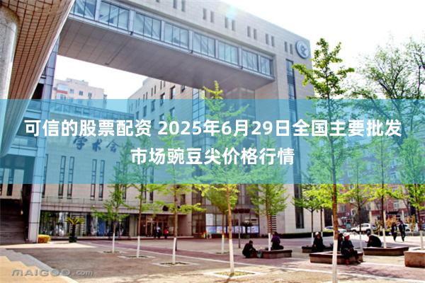 可信的股票配资 2025年6月29日全国主要批发市场豌豆尖价格行情