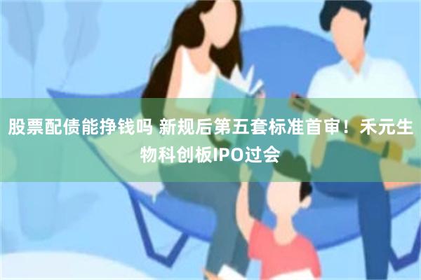 股票配债能挣钱吗 新规后第五套标准首审！禾元生物科创板IPO过会